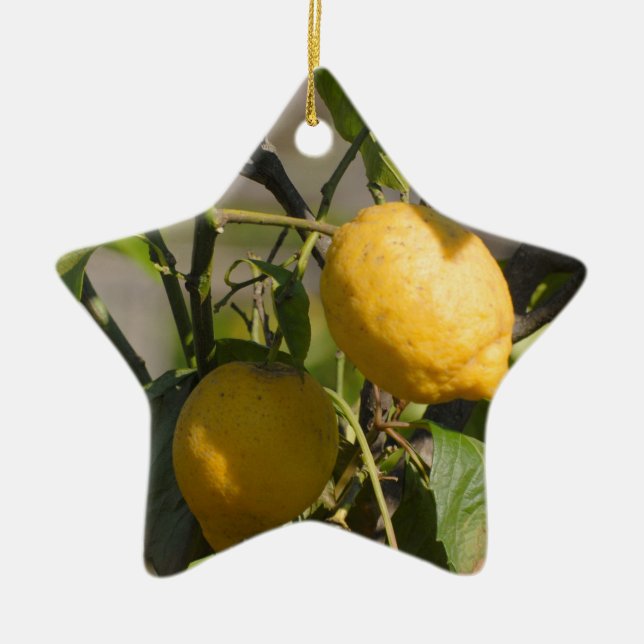 Spanska Citron Grafik Julgransprydnad Keramik (Framsidan)