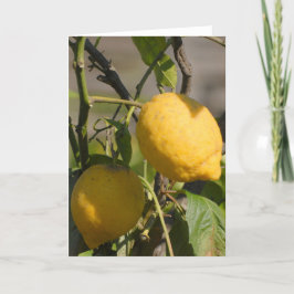 Spanska citron på träd Julkort Kort