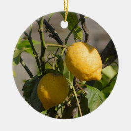 Spanska citrongrafik julgransprydnad keramik