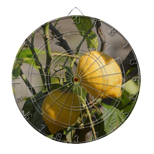 Spanska citrongrafik piltavla (Framsidan)
