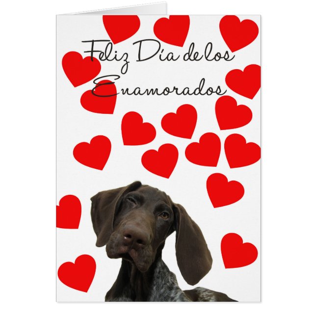Spanska Día Enamorados Glossy Grizzly Valentine Hälsningskort (Framsidan)