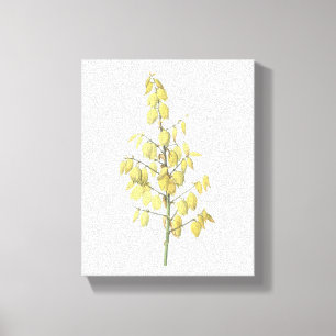 Spanska dolger (Yucca gloriosa) av Redouté Canvastryck
