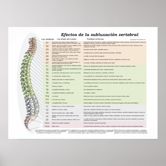 Spanska effekter av spinal subluxation Chiroprakti Poster (Framsidan)