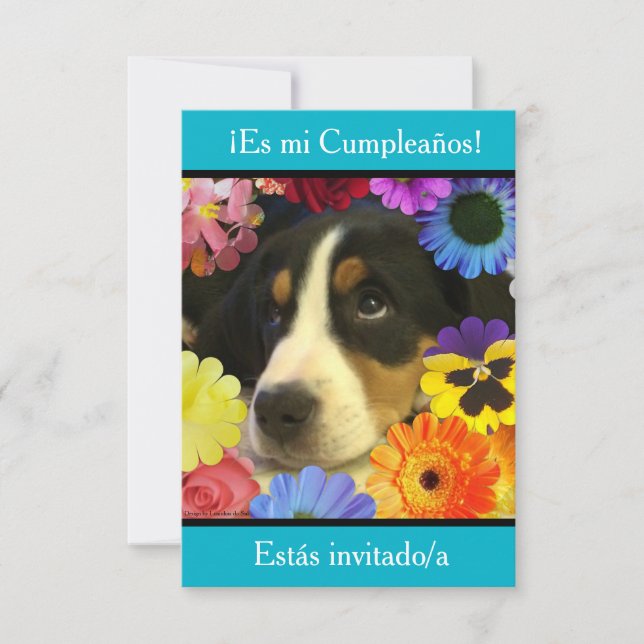 Spanska: Fiesta de cumpleaños - Invitación Inbjudningar (Framsida)