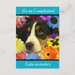 Spanska: Fiesta de cumpleaños - Invitación Inbjudningar