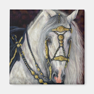 Spanska Guld - Andalusiska hästen Magnet