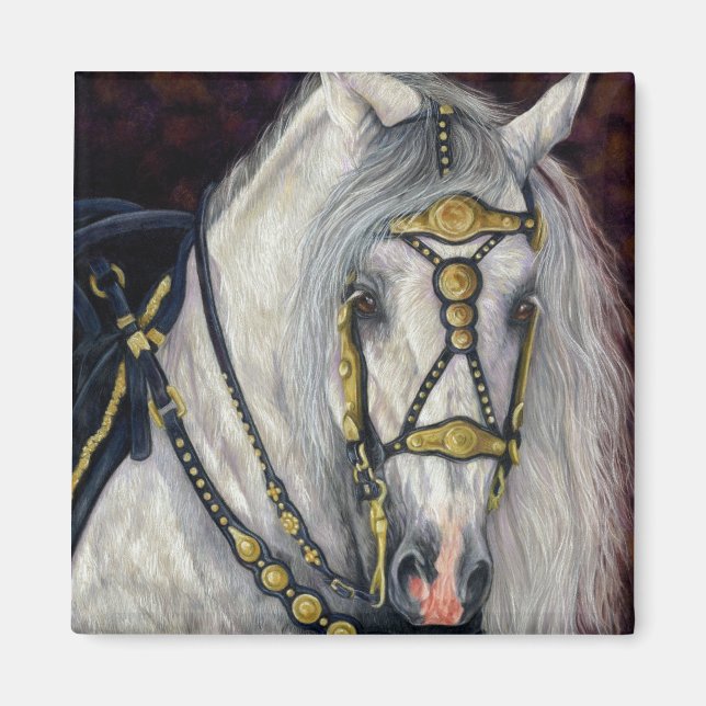 Spanska Guld - Andalusiska hästen Magnet (Framsidan)