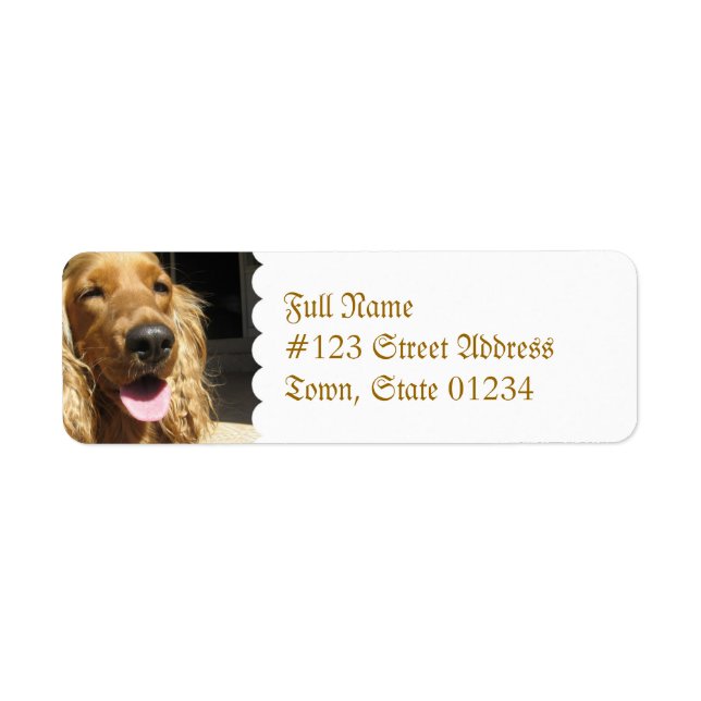 Spanska Hund Mailing Label Returadress Etikett (Framsidan)