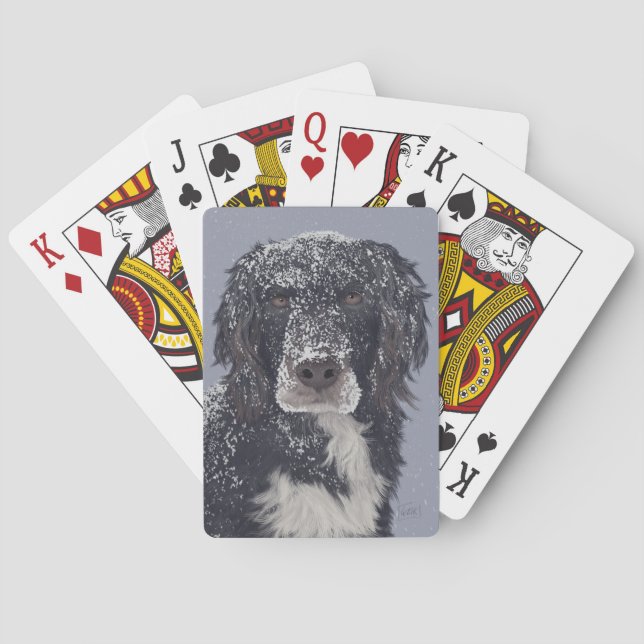 Spanska hund mix pet porträtt casinokort (Baksidan)