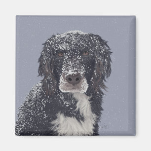 Spanska hund mix pet porträtt magnet