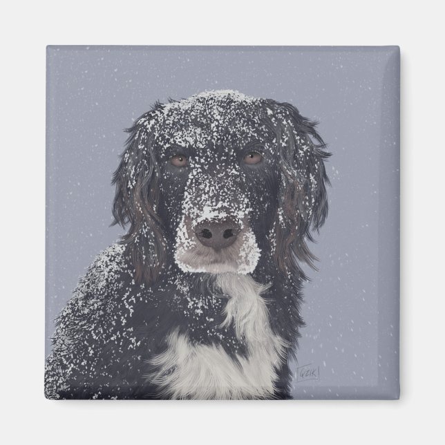 Spanska hund mix pet porträtt magnet (Framsidan)