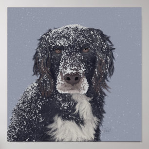Spanska hund mix pet porträtt poster