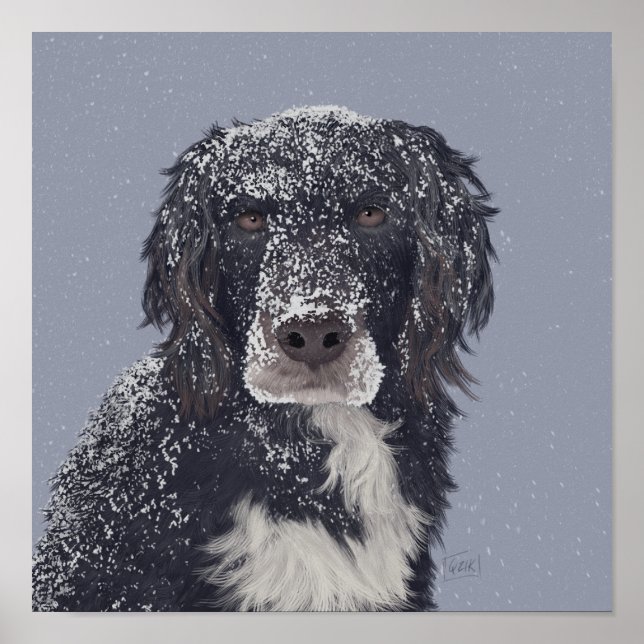 Spanska hund mix pet porträtt poster (Framsidan)