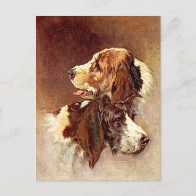 Spanska Hundar Vintage Art Design Vykort (Framsida)