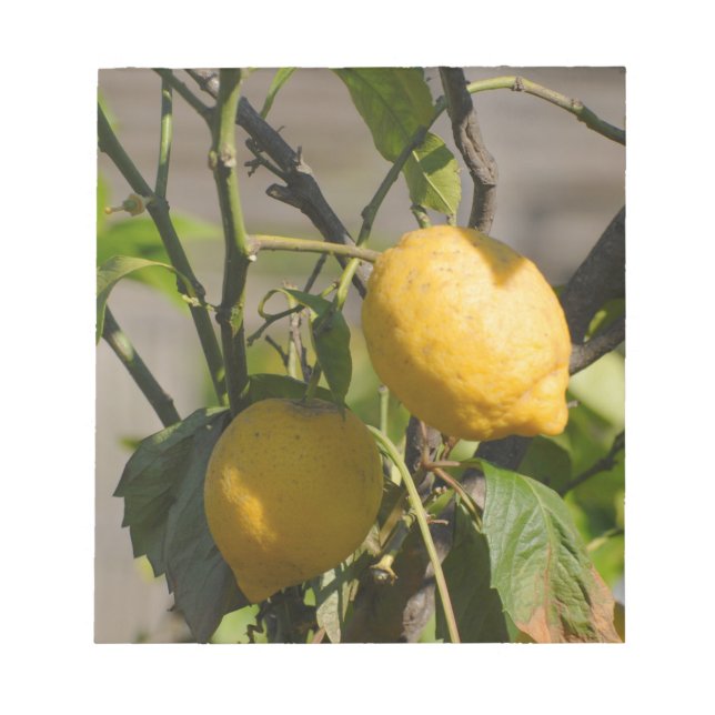 Spanska Lemon-grafik Anteckningsblock (Framsida)