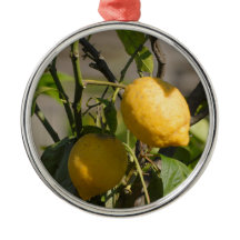 Spanska Lemon-grafik