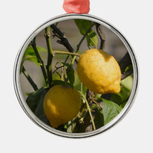 Spanska Lemon-grafik Julgransprydnad Metall