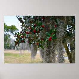 Spanska Moss och American Holly Poster
