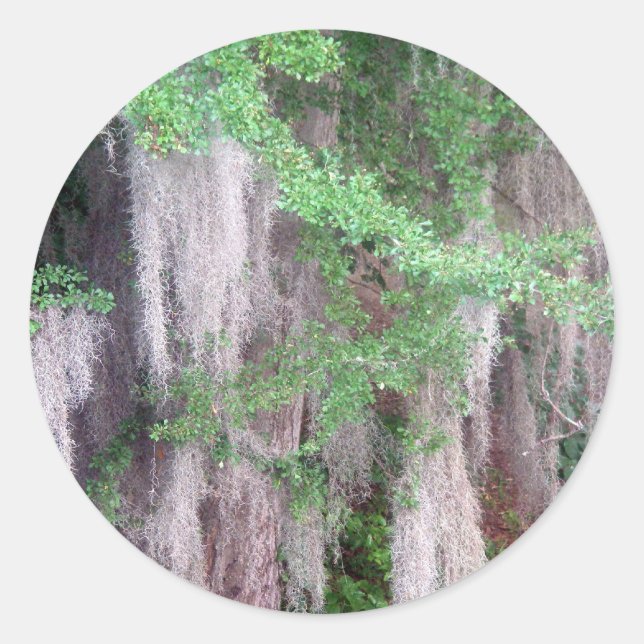 Spanska Moss Sticker Runt Klistermärke (Framsida)