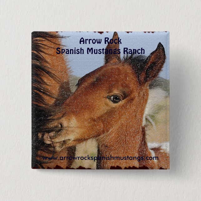Spanska Mustang Foal Button Knapp (Framsida)