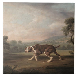 Spanska pekaren Hund (av George Stubbs) Kakelplatta