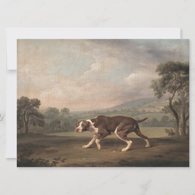 Spanska pekaren Hund (av George Stubbs) Kort (Framsida)