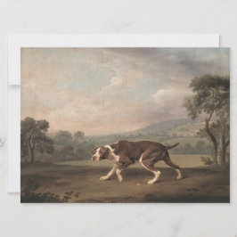 Spanska pekaren Hund (av George Stubbs) Kort