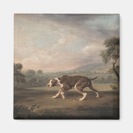 Spanska pekaren Hund (av George Stubbs) Magnet