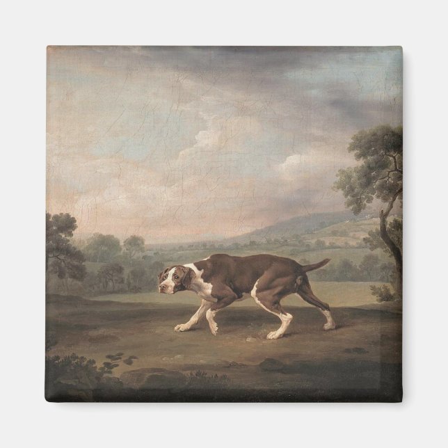 Spanska pekaren Hund (av George Stubbs) Magnet (Framsidan)