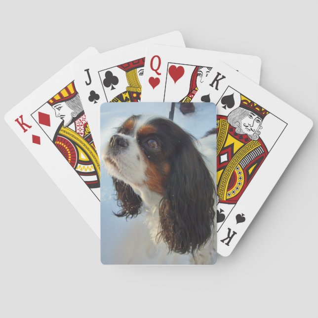 Spanska rabattkort med tre Färgader Cavalier Spel Kort (Baksidan)