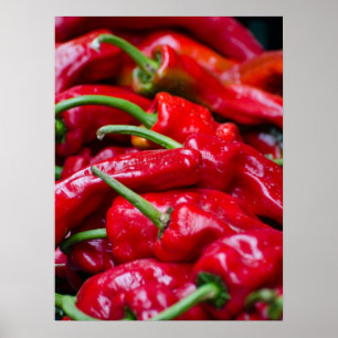Spanska röda peppar poster