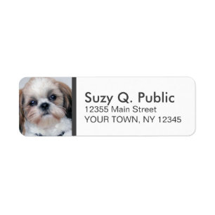 Spanska Shih Tzu-adressetikett Returadress Etikett