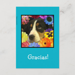 Spanska: Tack-kort / Gracias! Tack Kort