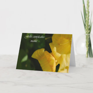 Spanskt födelsedagkort för mamma kort