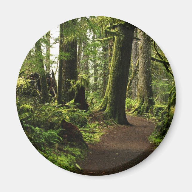 Spår bland Giants Magnet (Framsidan)