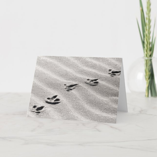 Spår i sidfotografiet kort (Framsida)