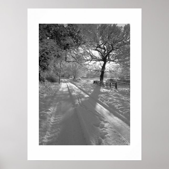 Spår i snön: Cheshire Poster (Framsidan)
