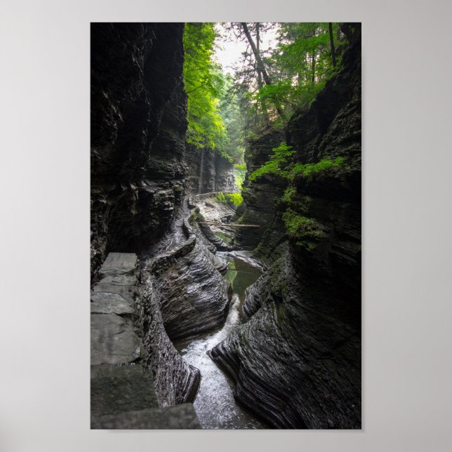 Spår i Watkins Glen, New York Poster (Framsidan)