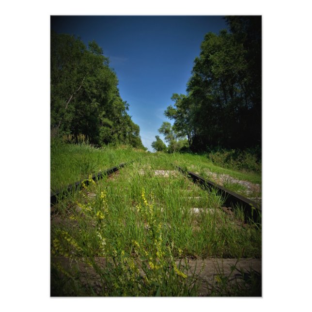 ’Spår och Fält’ Fototryck (Framsidan)