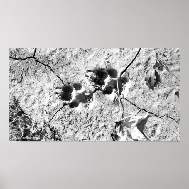 Spår Poster (Framsidan)