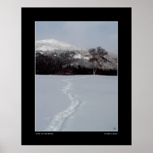 Spår till Birch i Winter Färg Poster