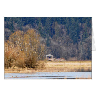 Spår vid Nisqually National Wildlife Refuge Hälsningskort