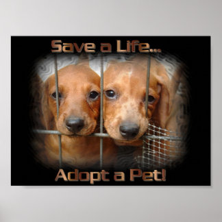Spara a Life Adoption a Pet poster