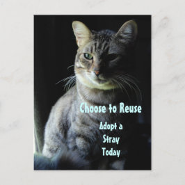 Spara A Life! Anta en skyddspapper! Vykort