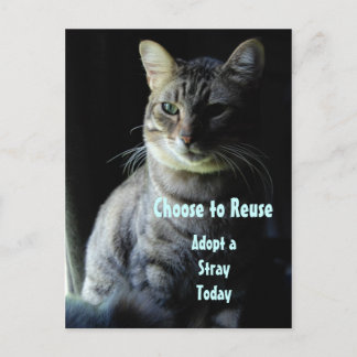 Spara A Life! Anta en skyddspapper! Vykort