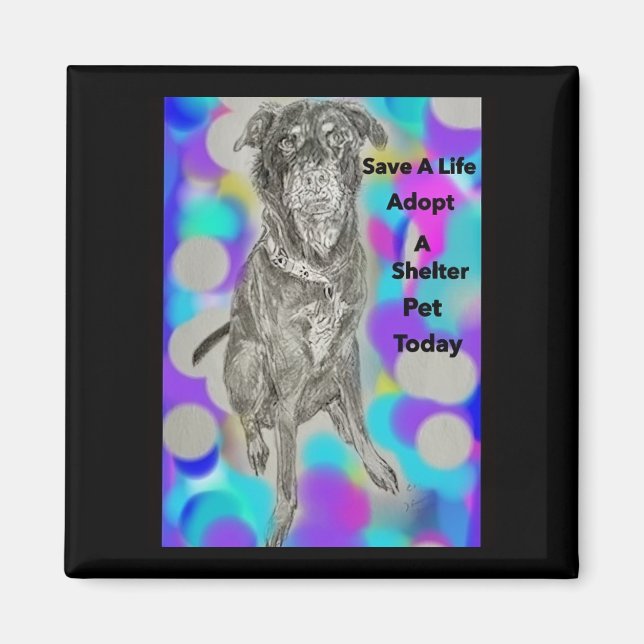 Spara A Life Pet Message Magnet (Framsidan)