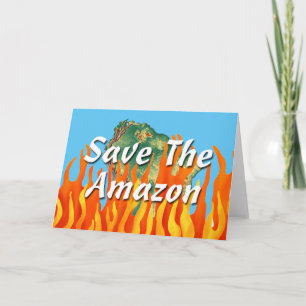 Spara Amazon Kort