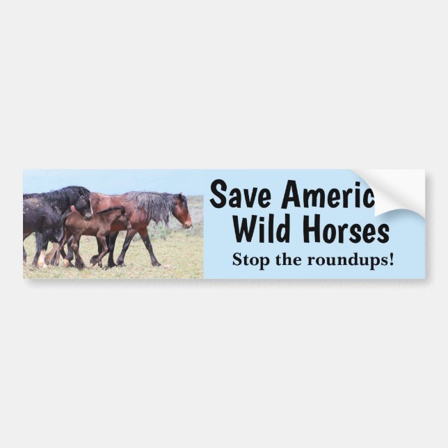 Spara America's Vild Horses Bildekal (Framsidan)