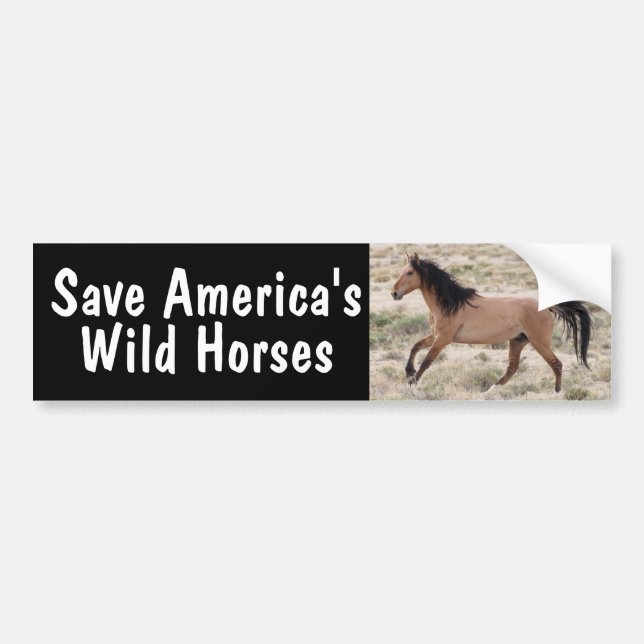 Spara America's Vild Horses Bumper Sticker Bildekal (Framsidan)