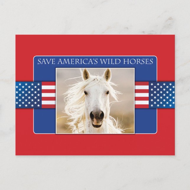 Spara America's Vild Horses Postcards Vykort (Framsida)